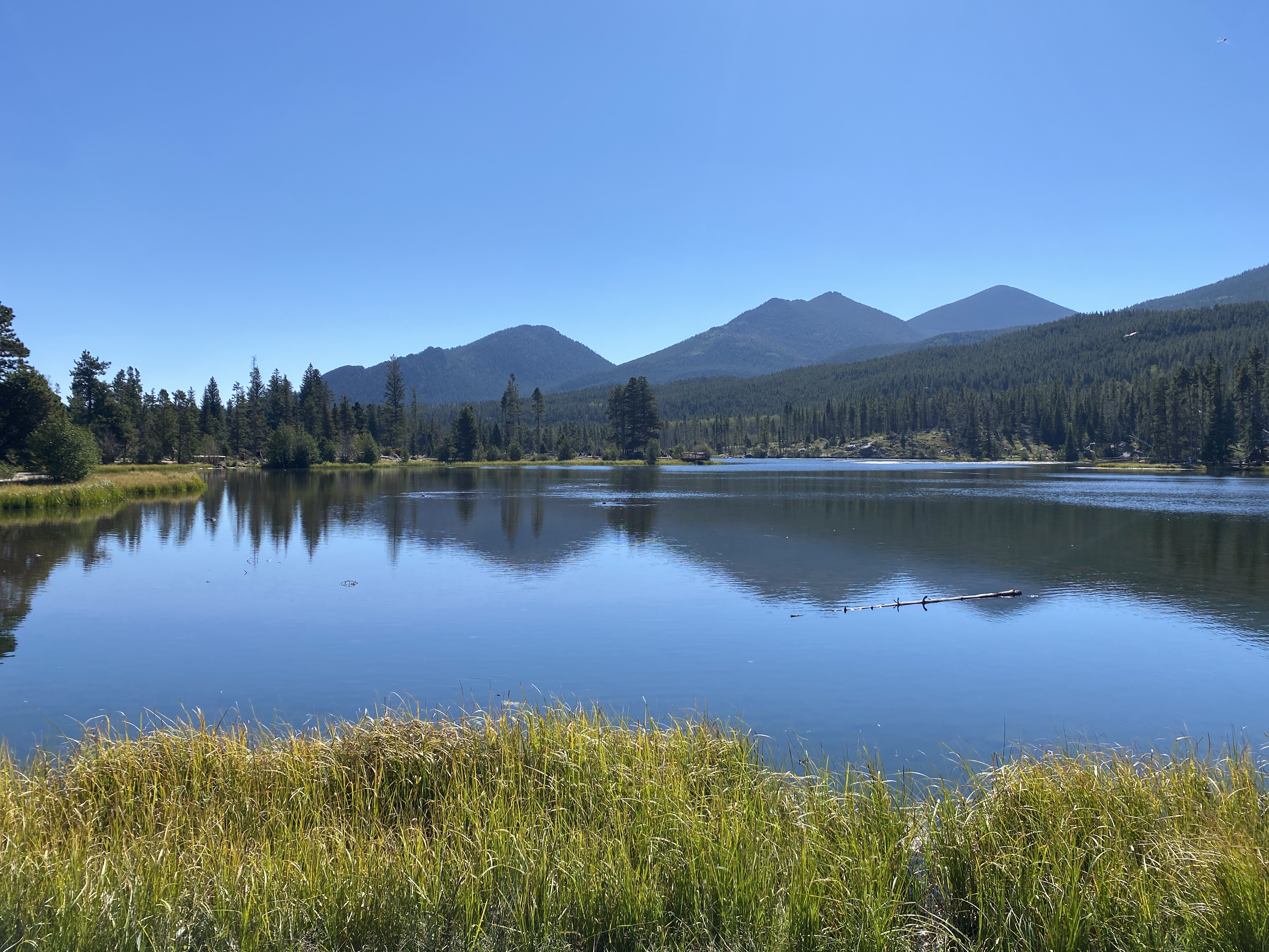 Discover the Beauty of Rocky Mountain National Park