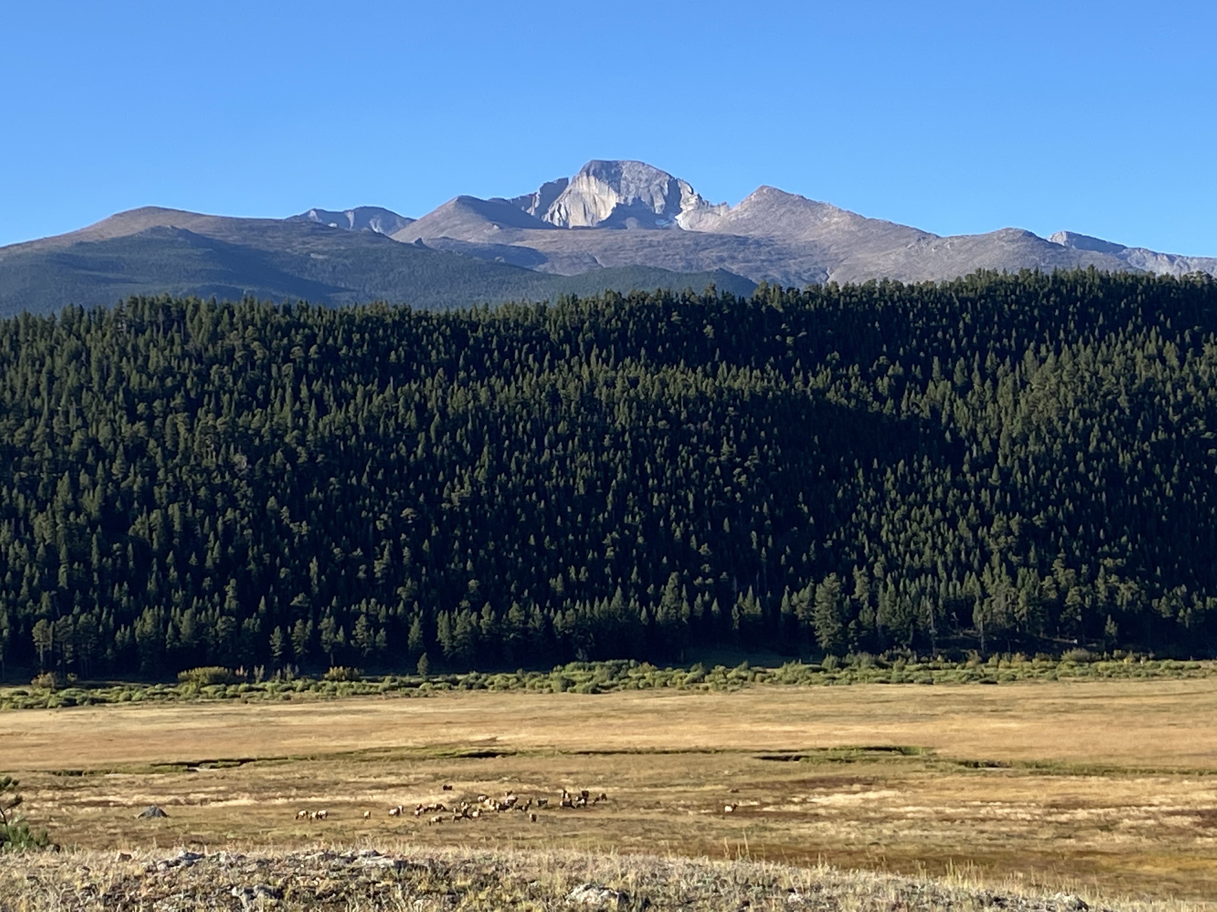 Discover the Beauty of Rocky Mountain National Park