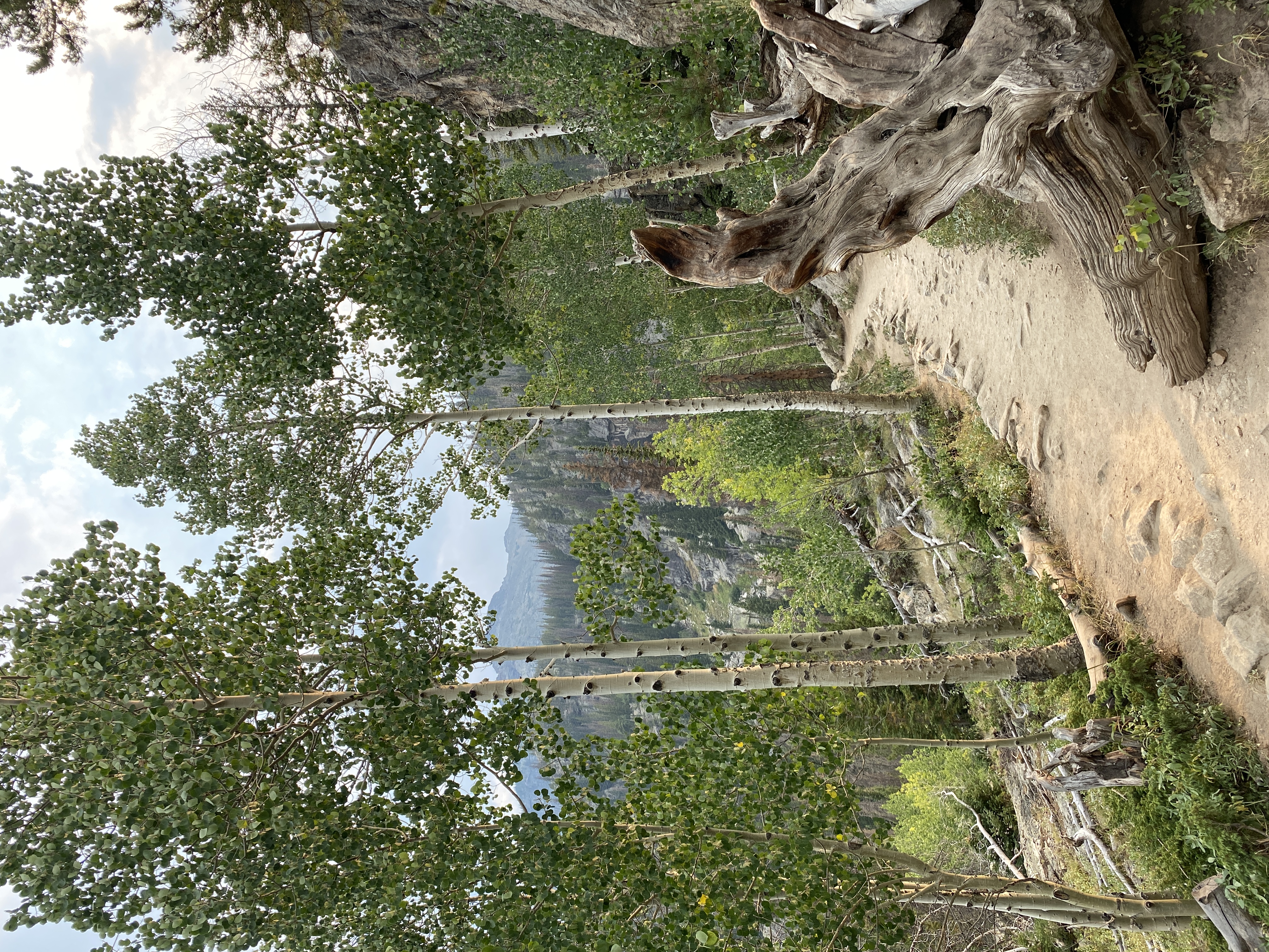 Discover the Beauty of Rocky Mountain National Park