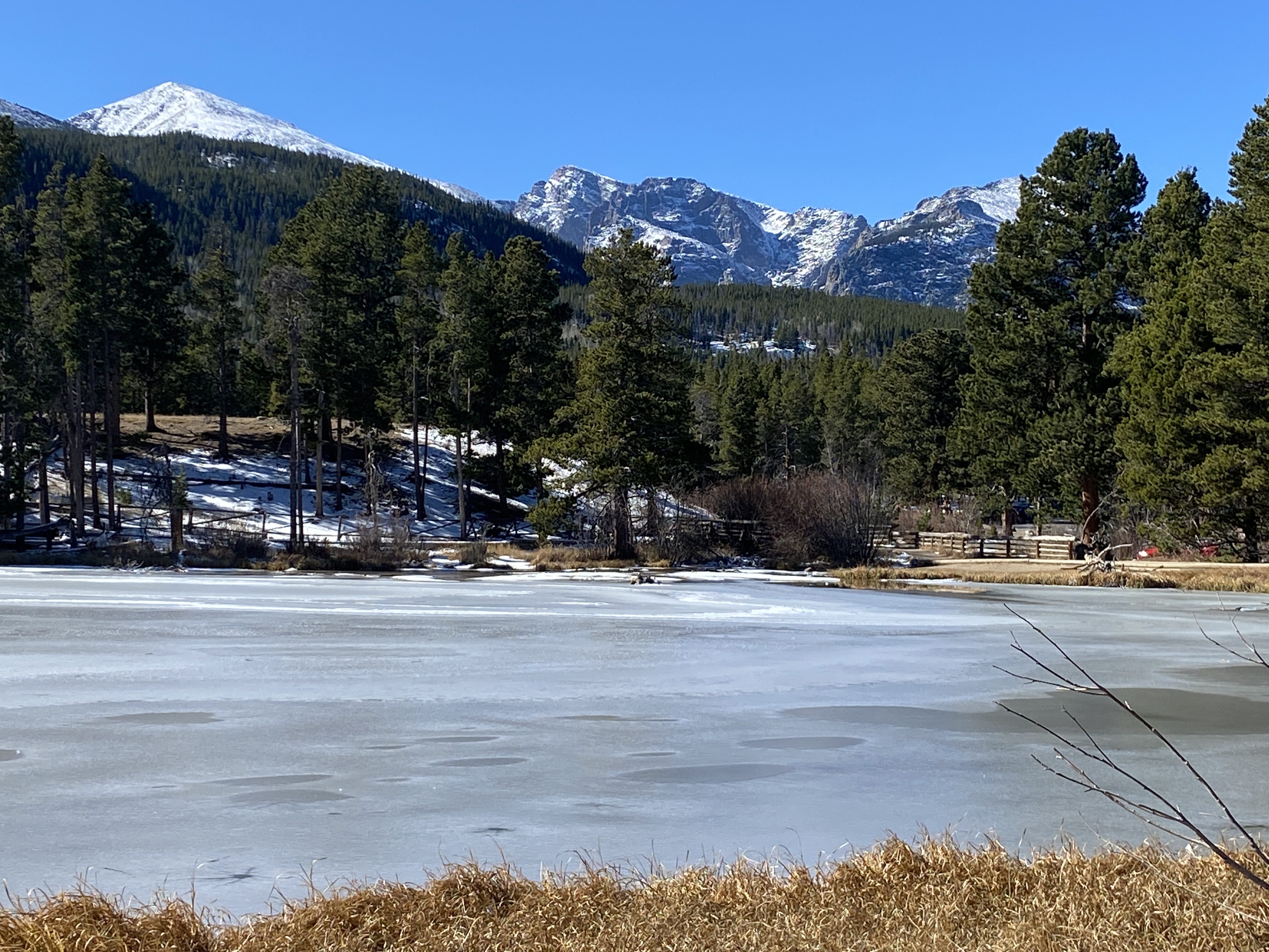 Discover the Beauty of Rocky Mountain National Park