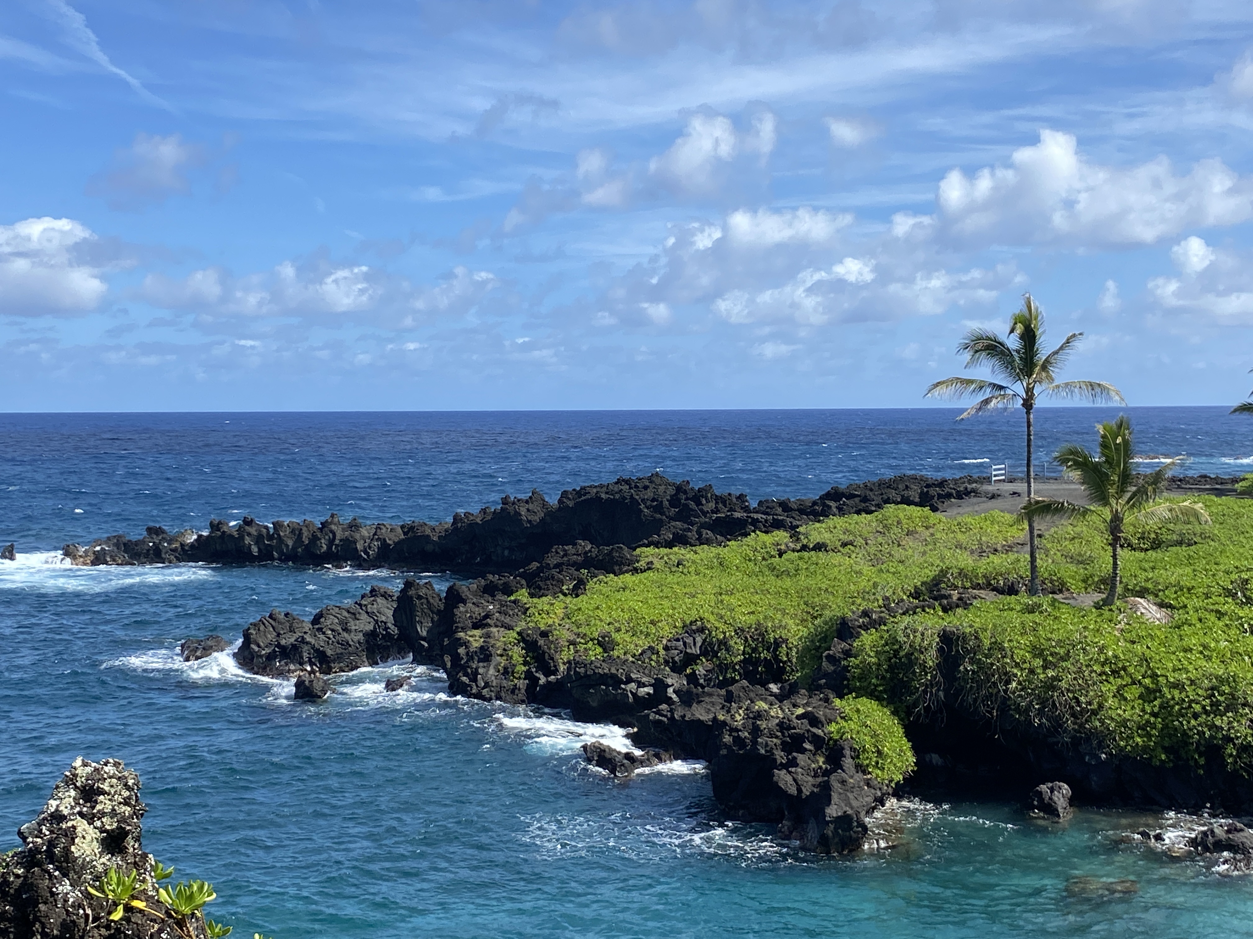 Our Top Travel Adventures
