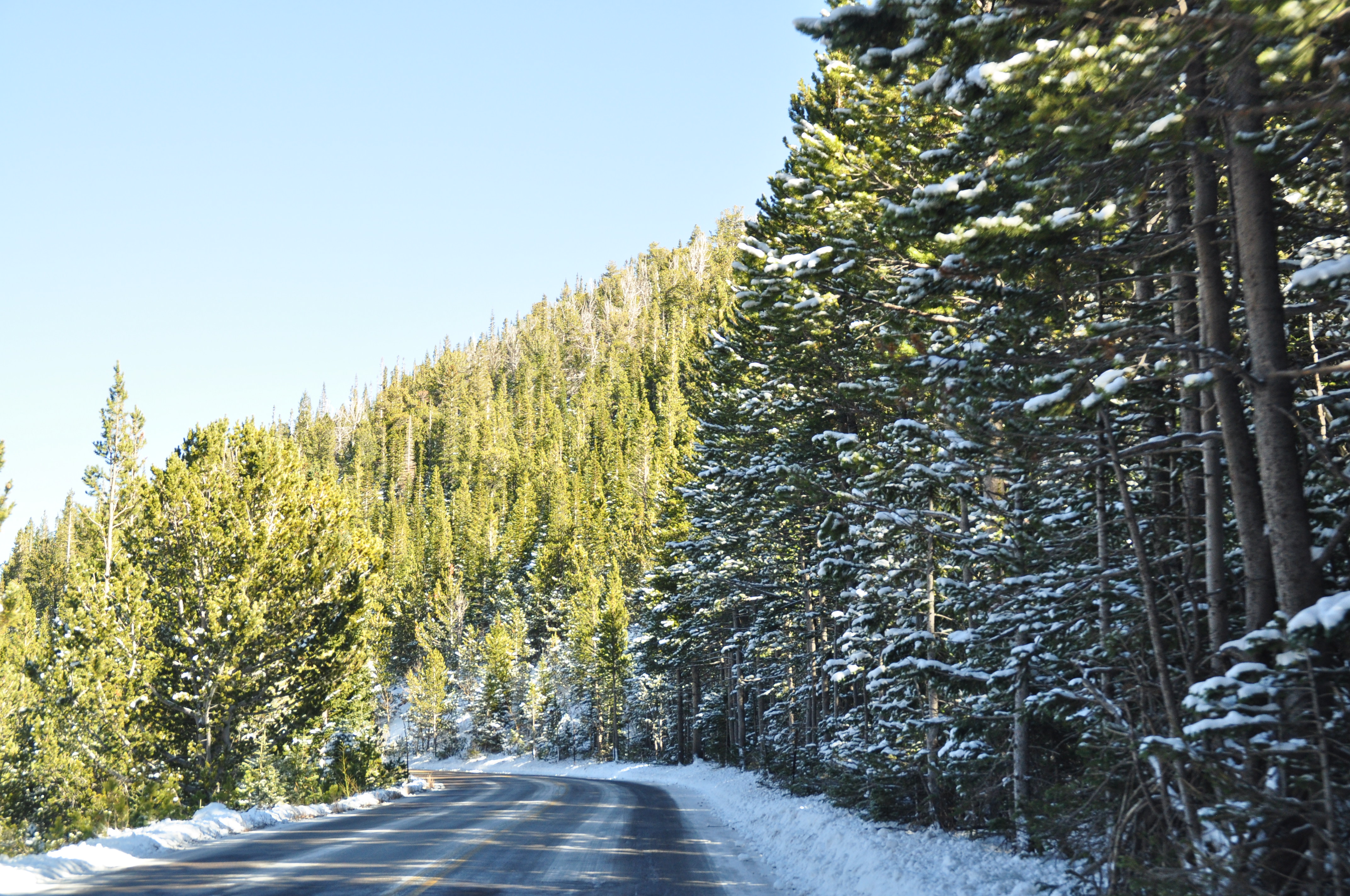 Discover the Beauty of Rocky Mountain National Park