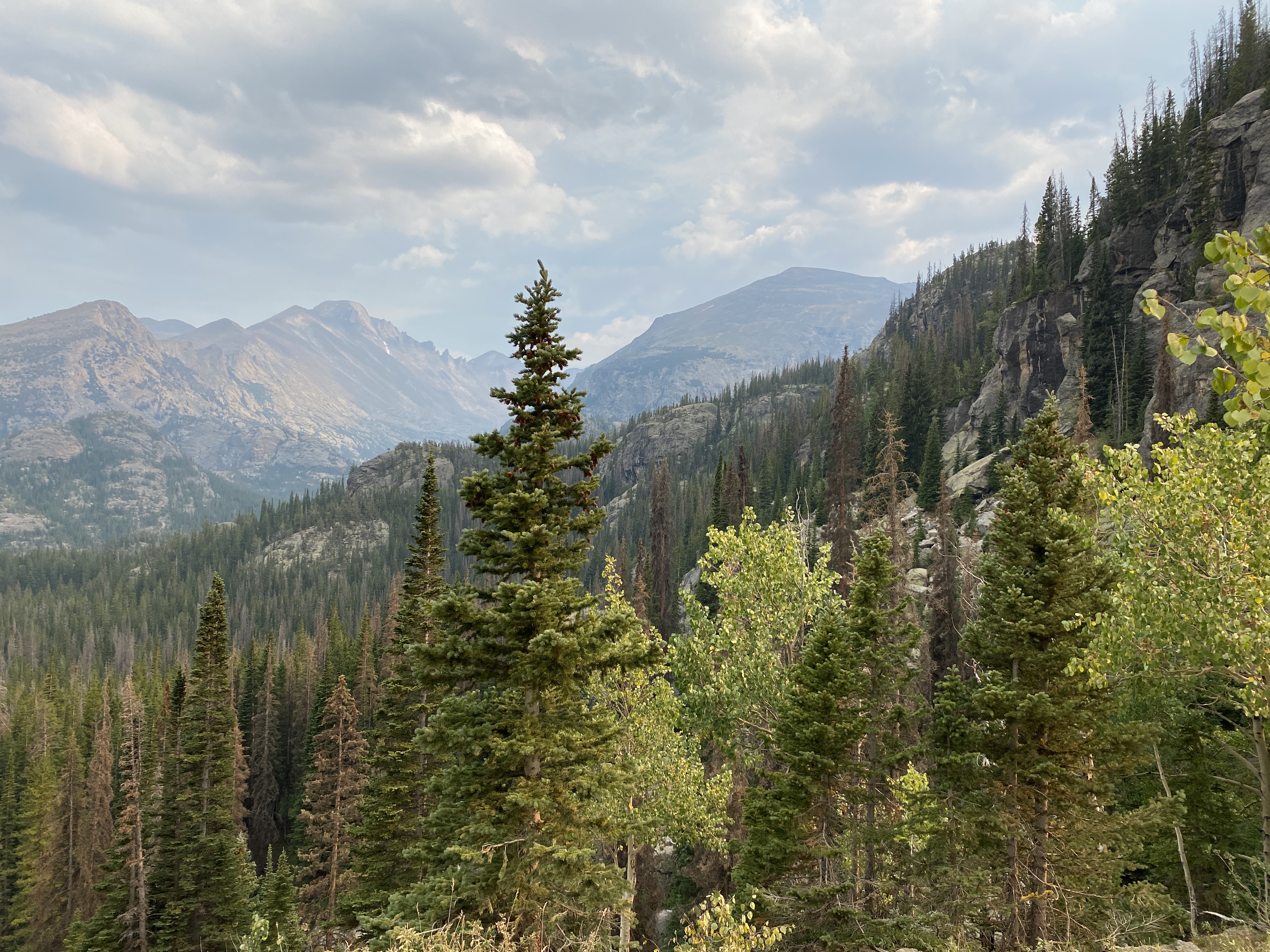Discover the Beauty of Rocky Mountain National Park