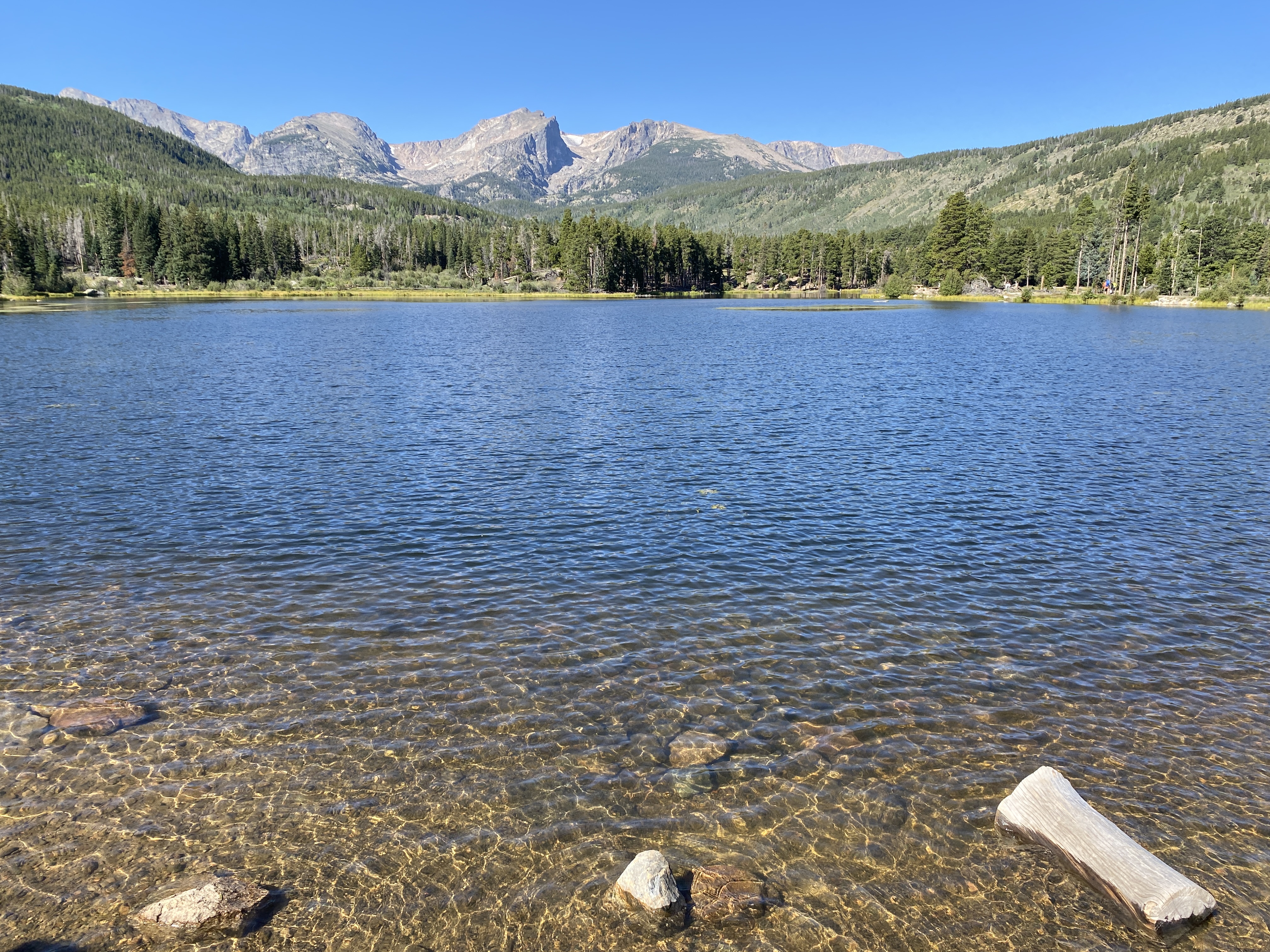 Discover the Beauty of Rocky Mountain National Park