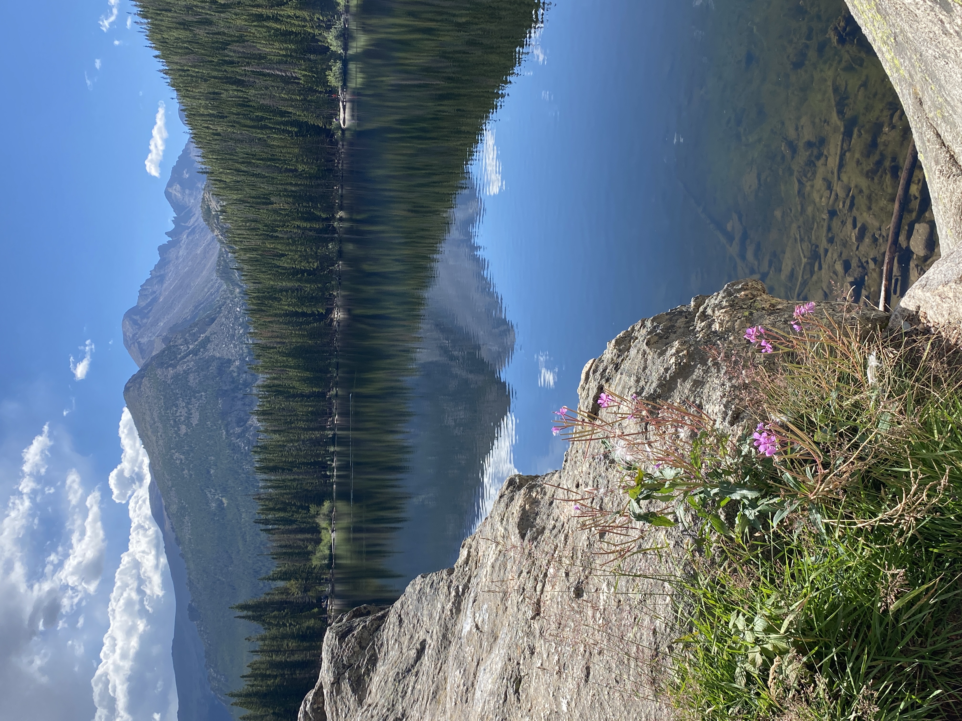 Discover the Beauty of Rocky Mountain National Park