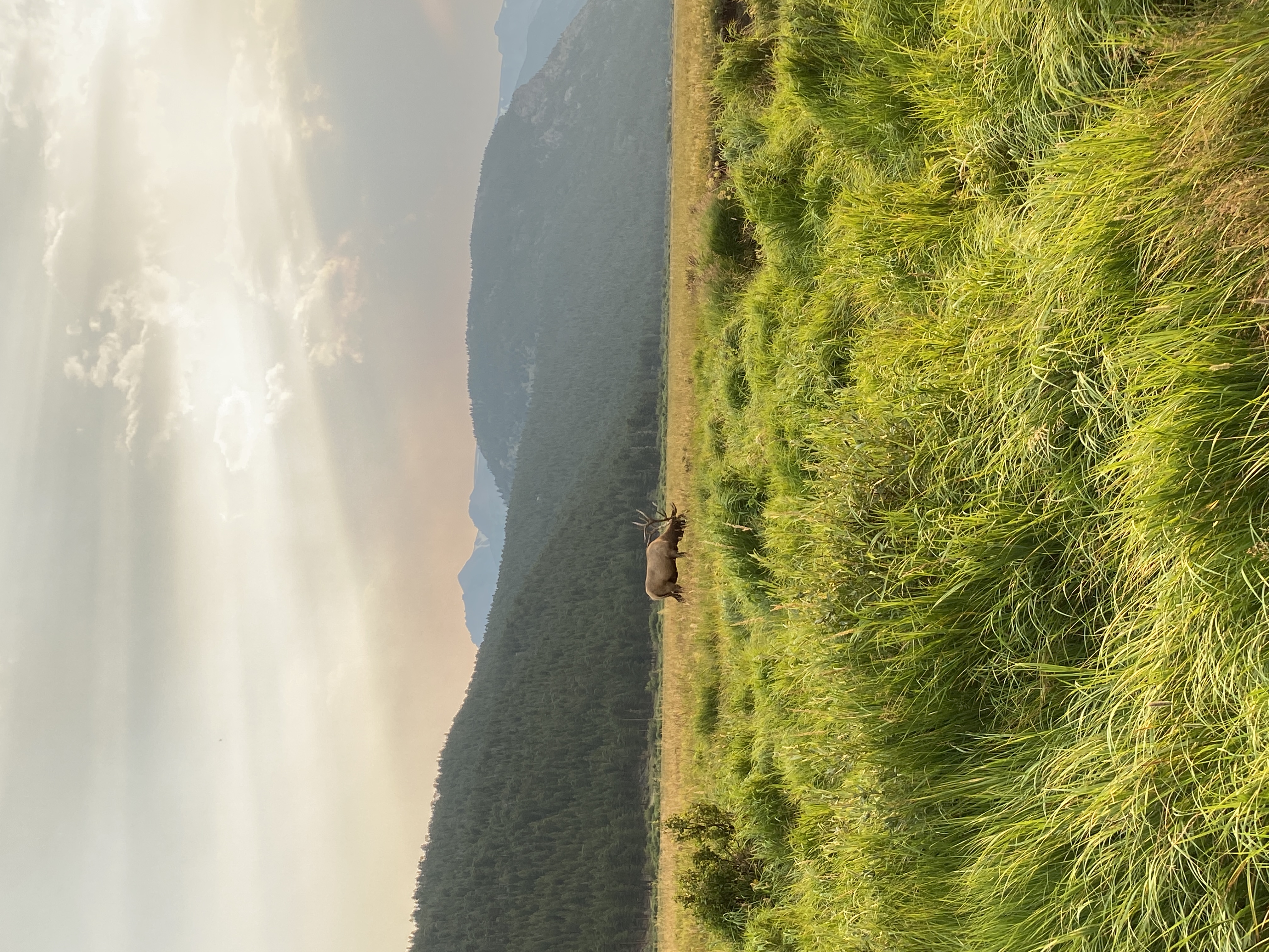 Discover the Beauty of Rocky Mountain National Park