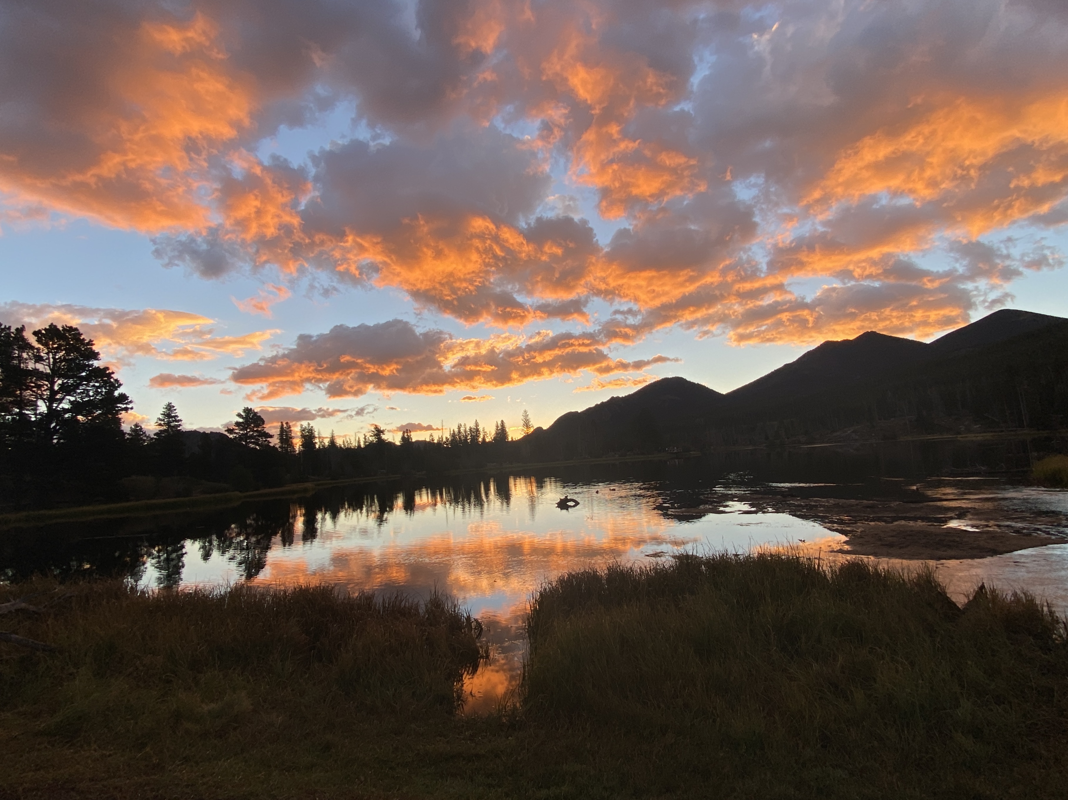 Discover the Beauty of Rocky Mountain National Park