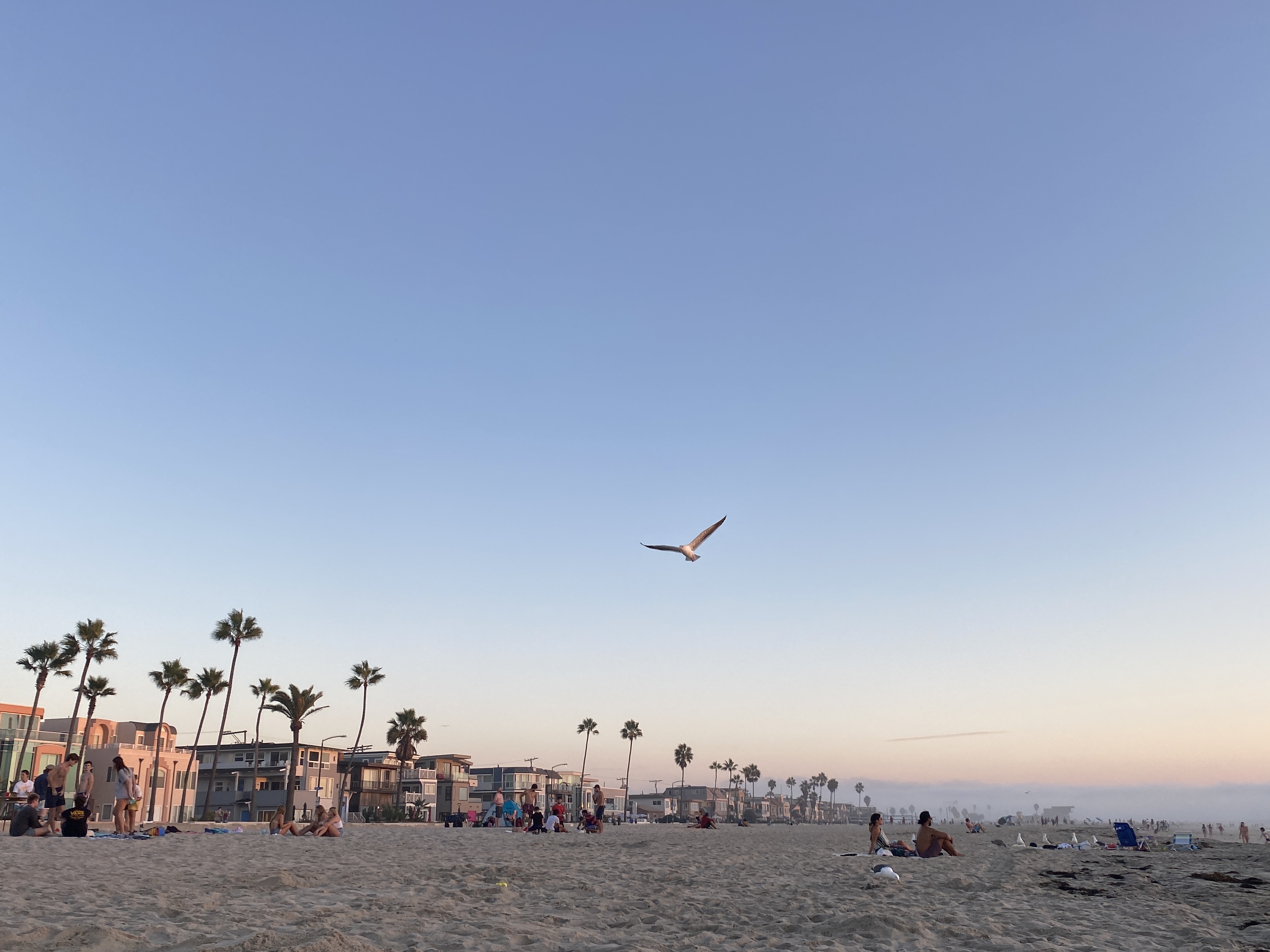 Our Top Travel Adventures