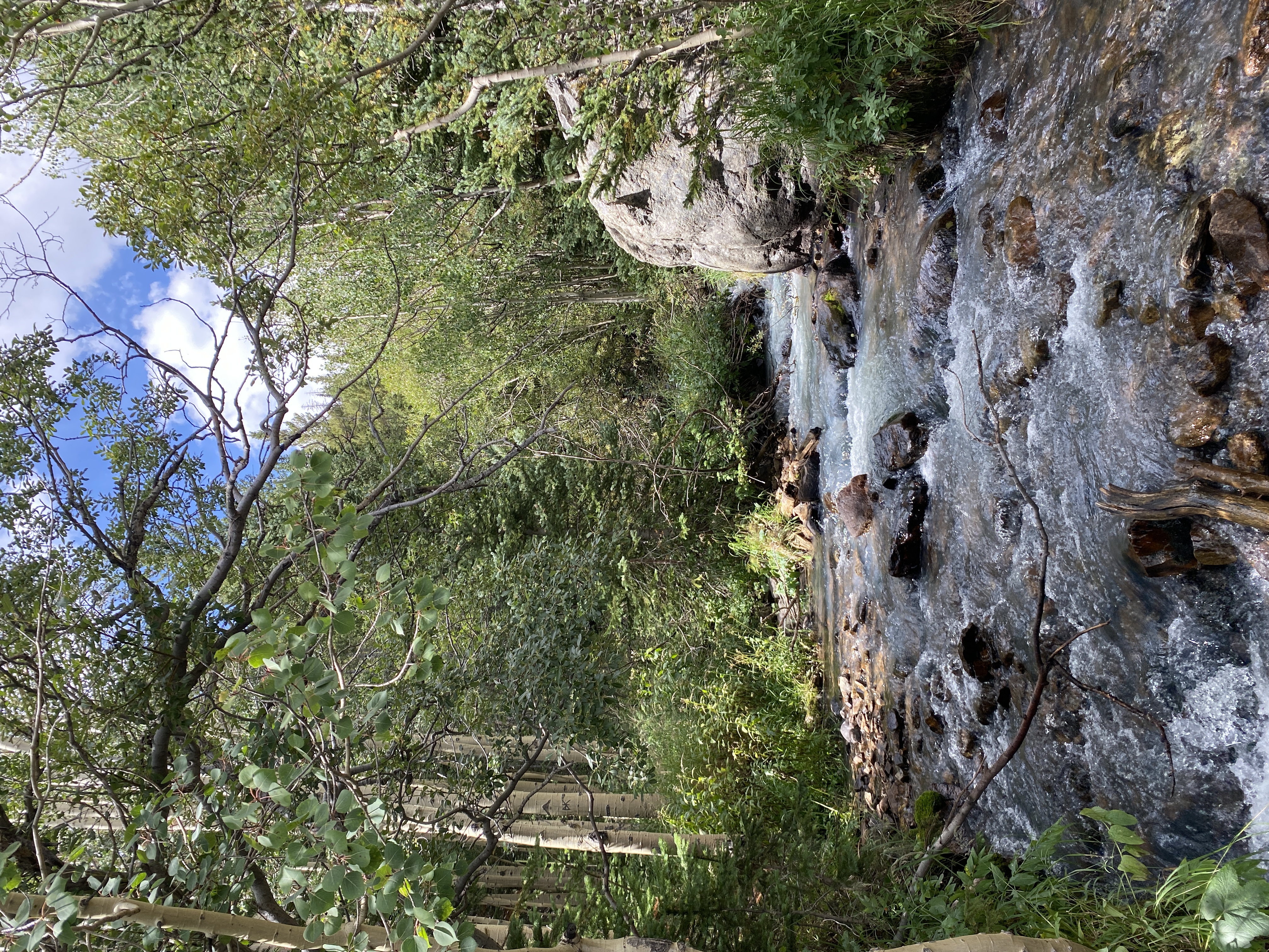 Discover the Beauty of Rocky Mountain National Park