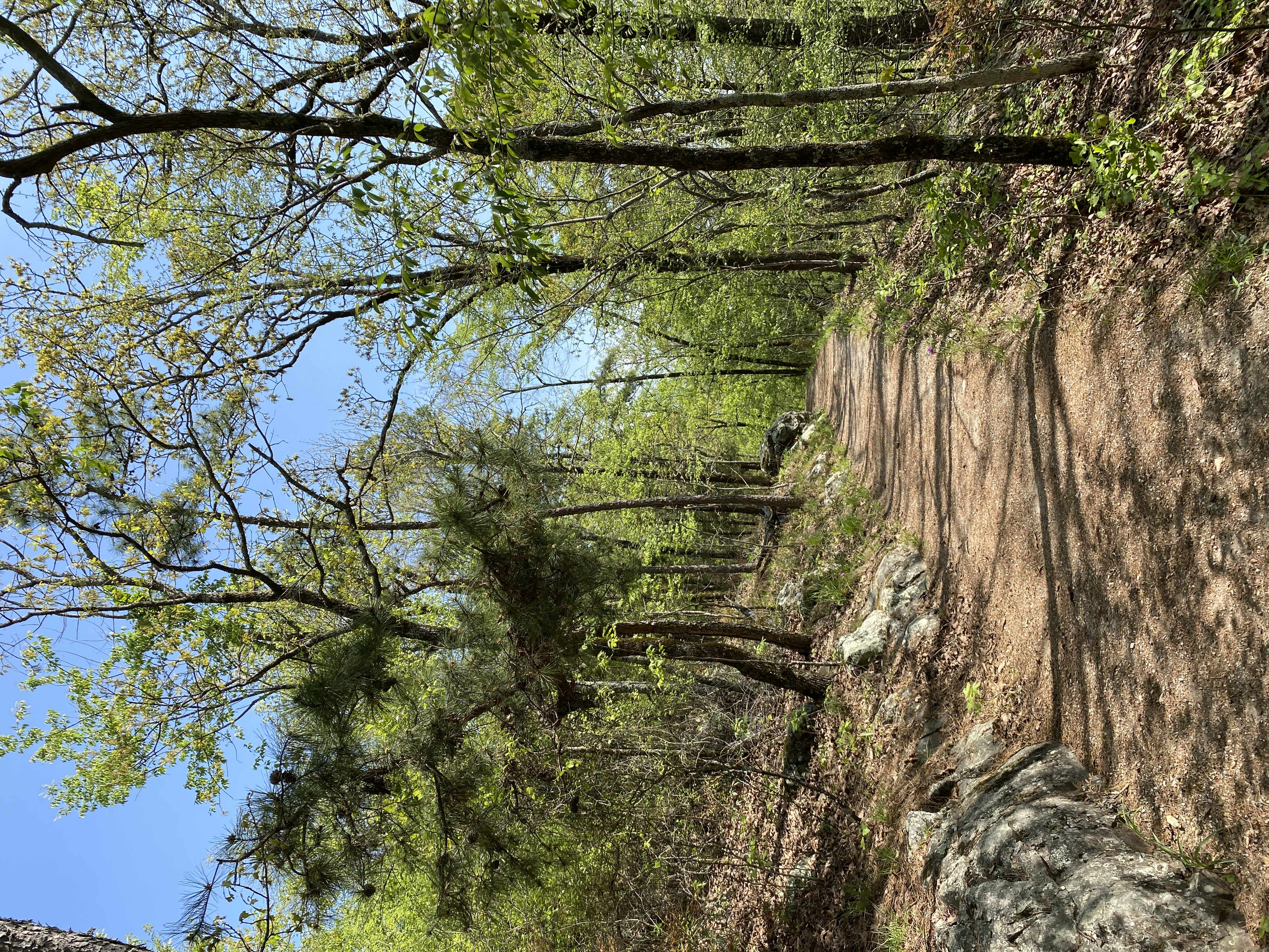 That Familiar Feeling: Adventures in Forgetfulness