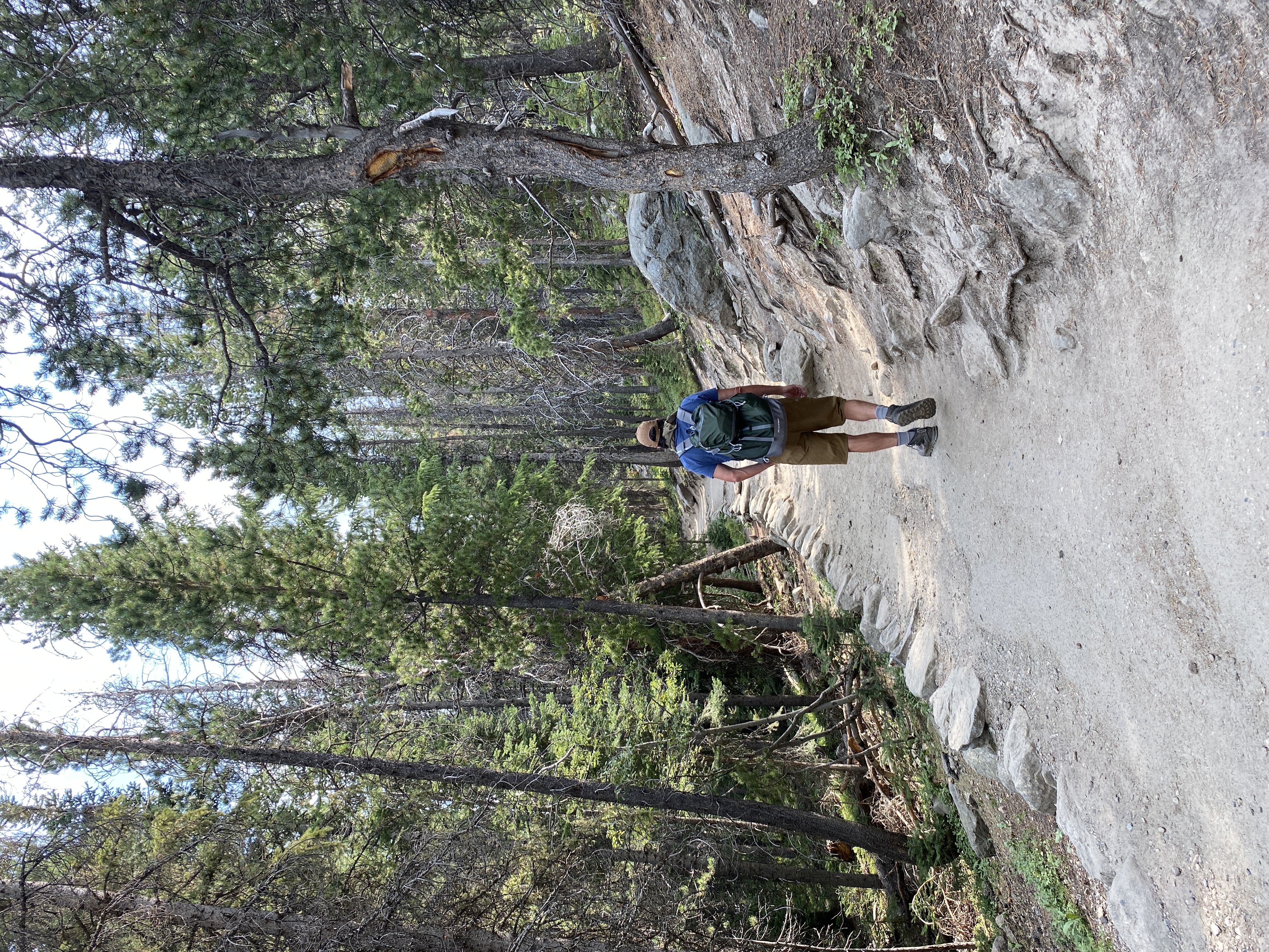 Discover the Beauty of Rocky Mountain National Park