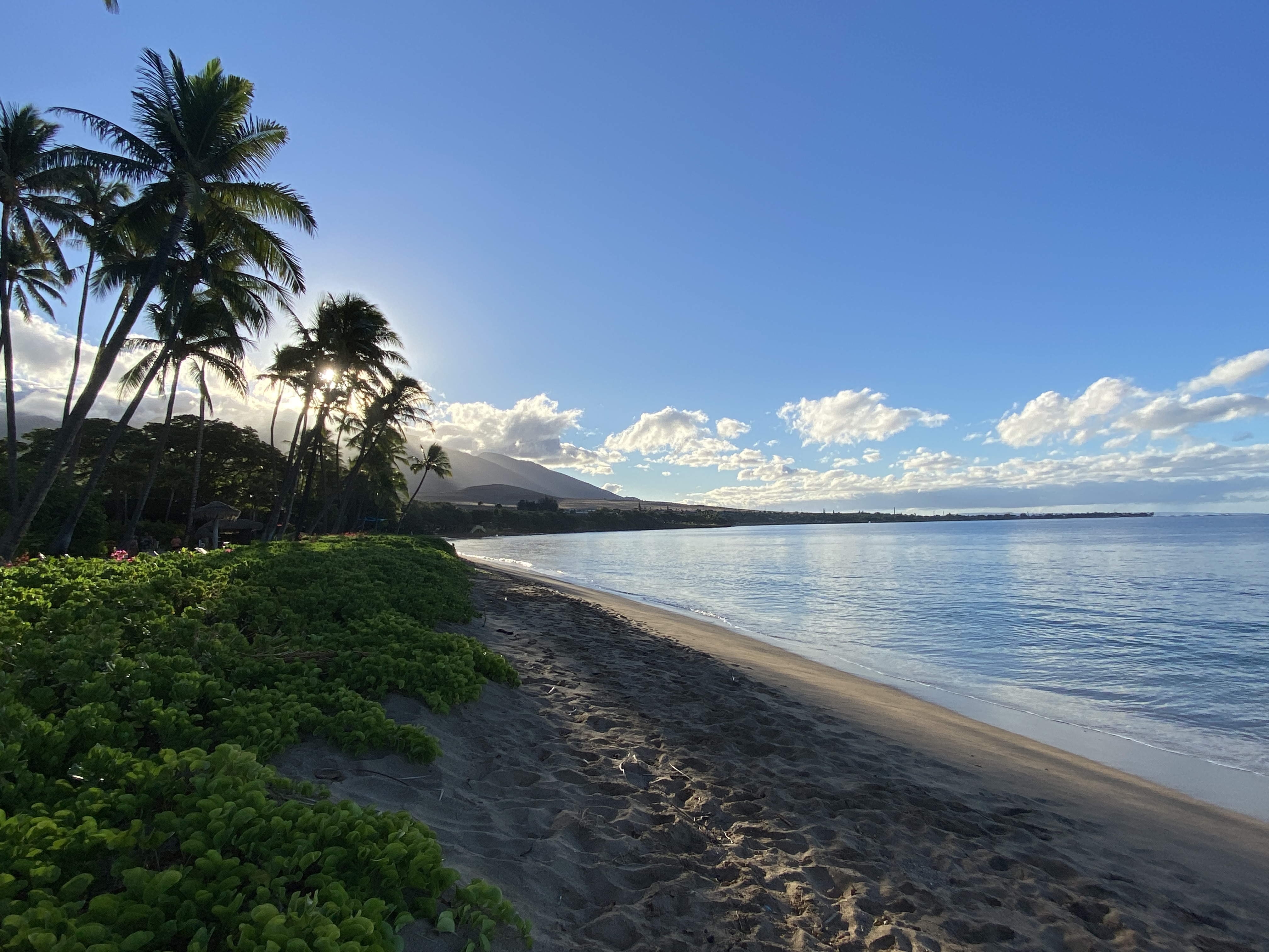 Our Top Travel Adventures
