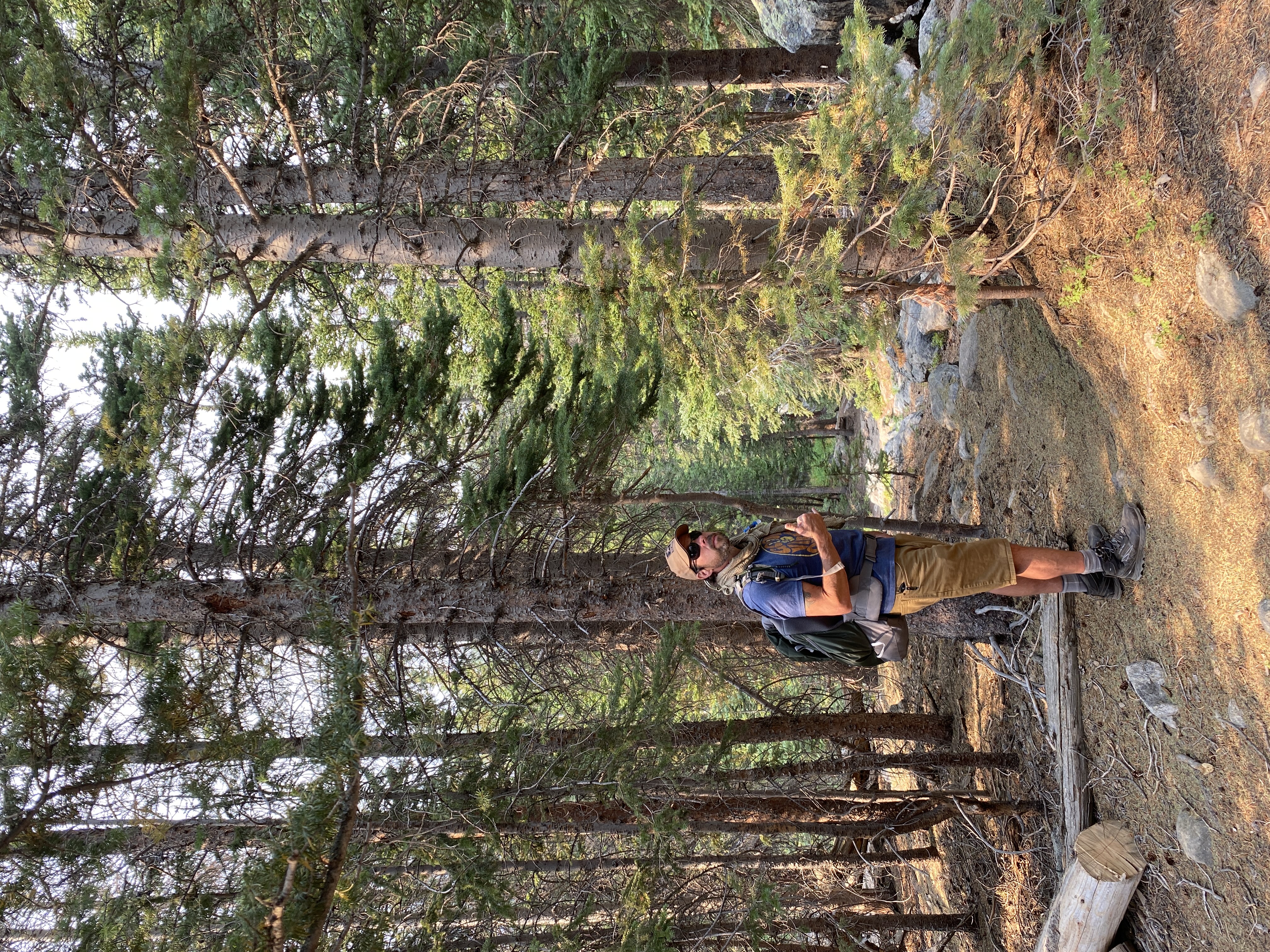 Discover the Beauty of Rocky Mountain National Park
