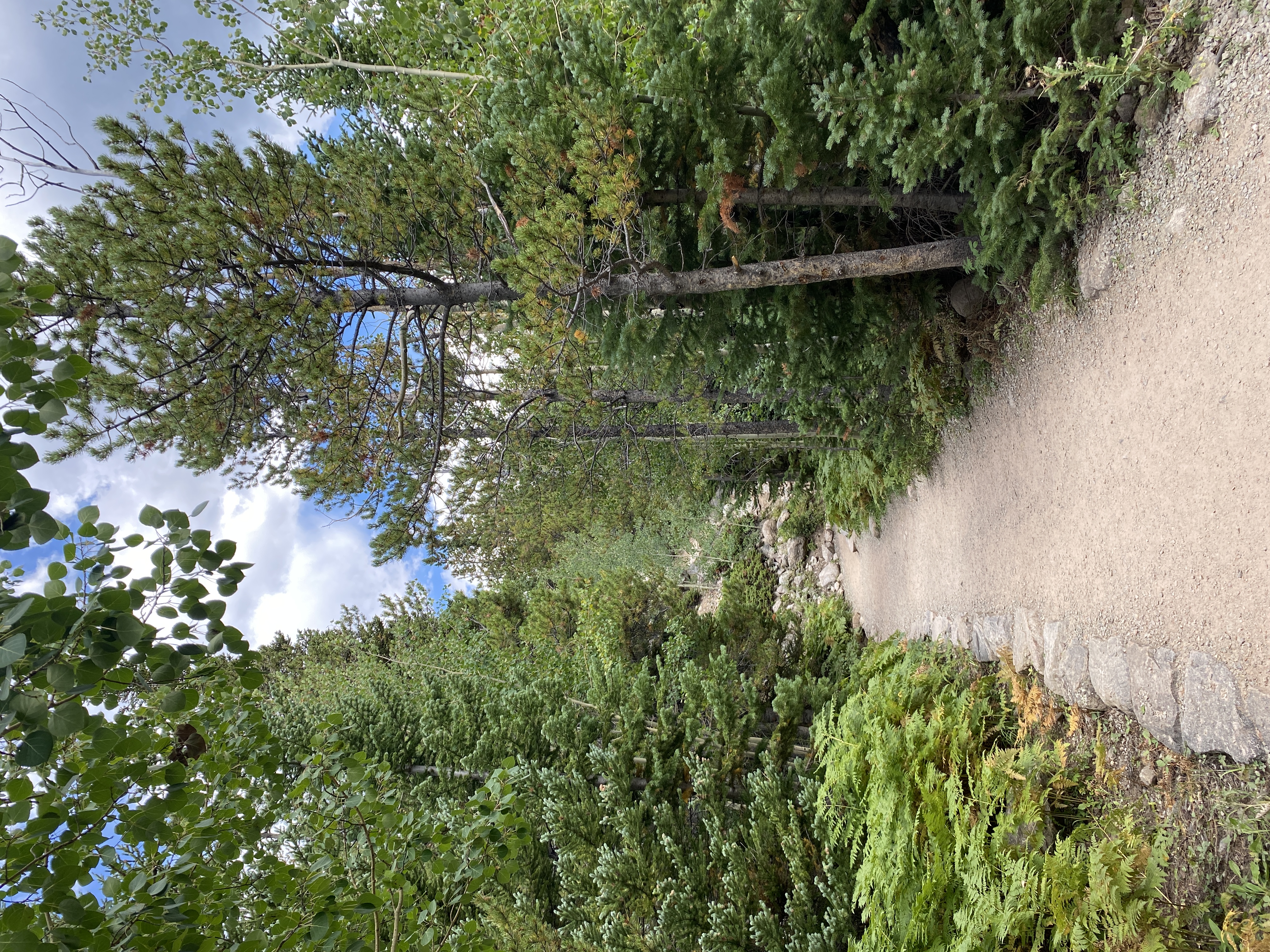 Discover the Beauty of Rocky Mountain National Park