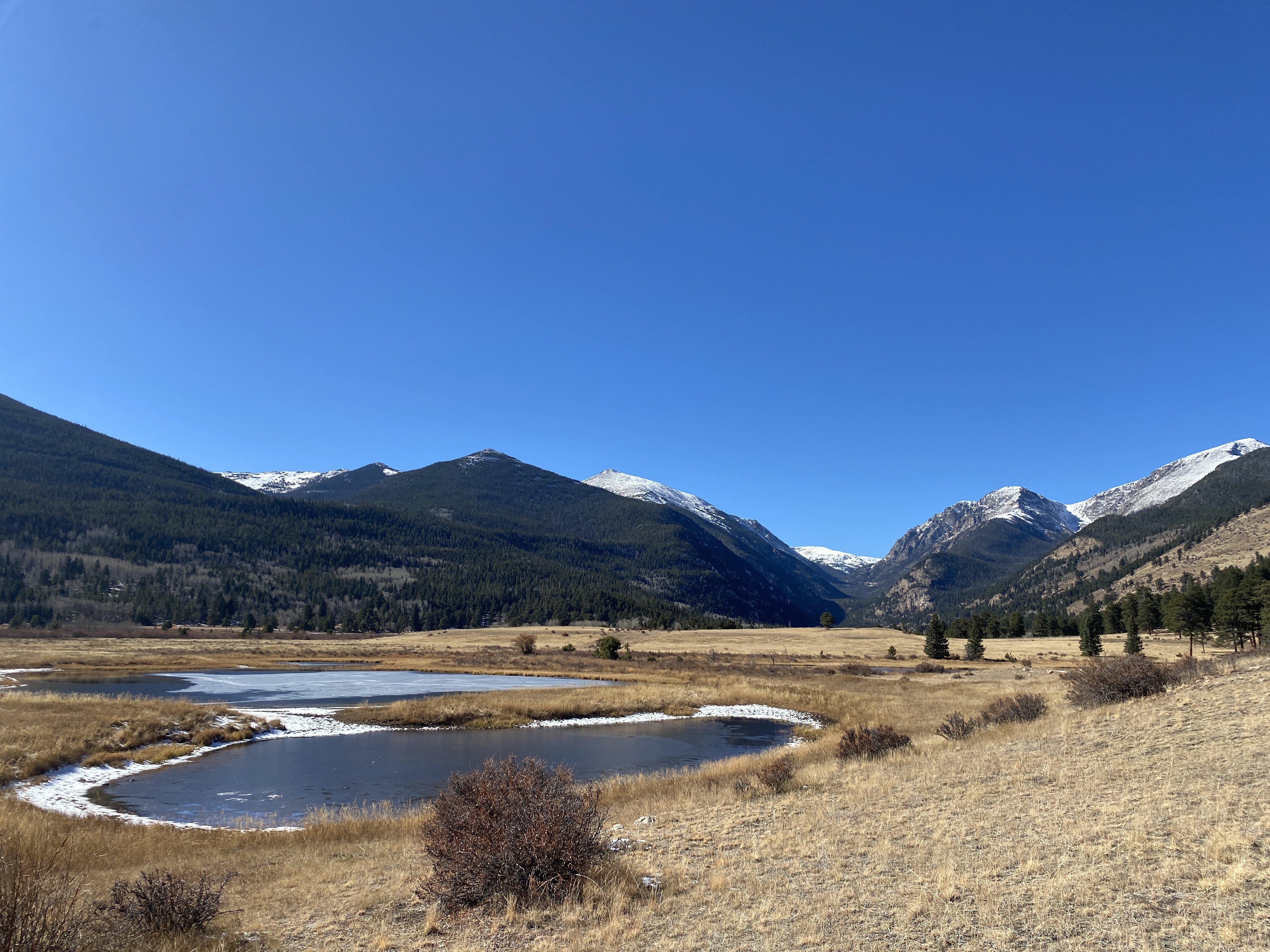 Discover the Beauty of Rocky Mountain National Park