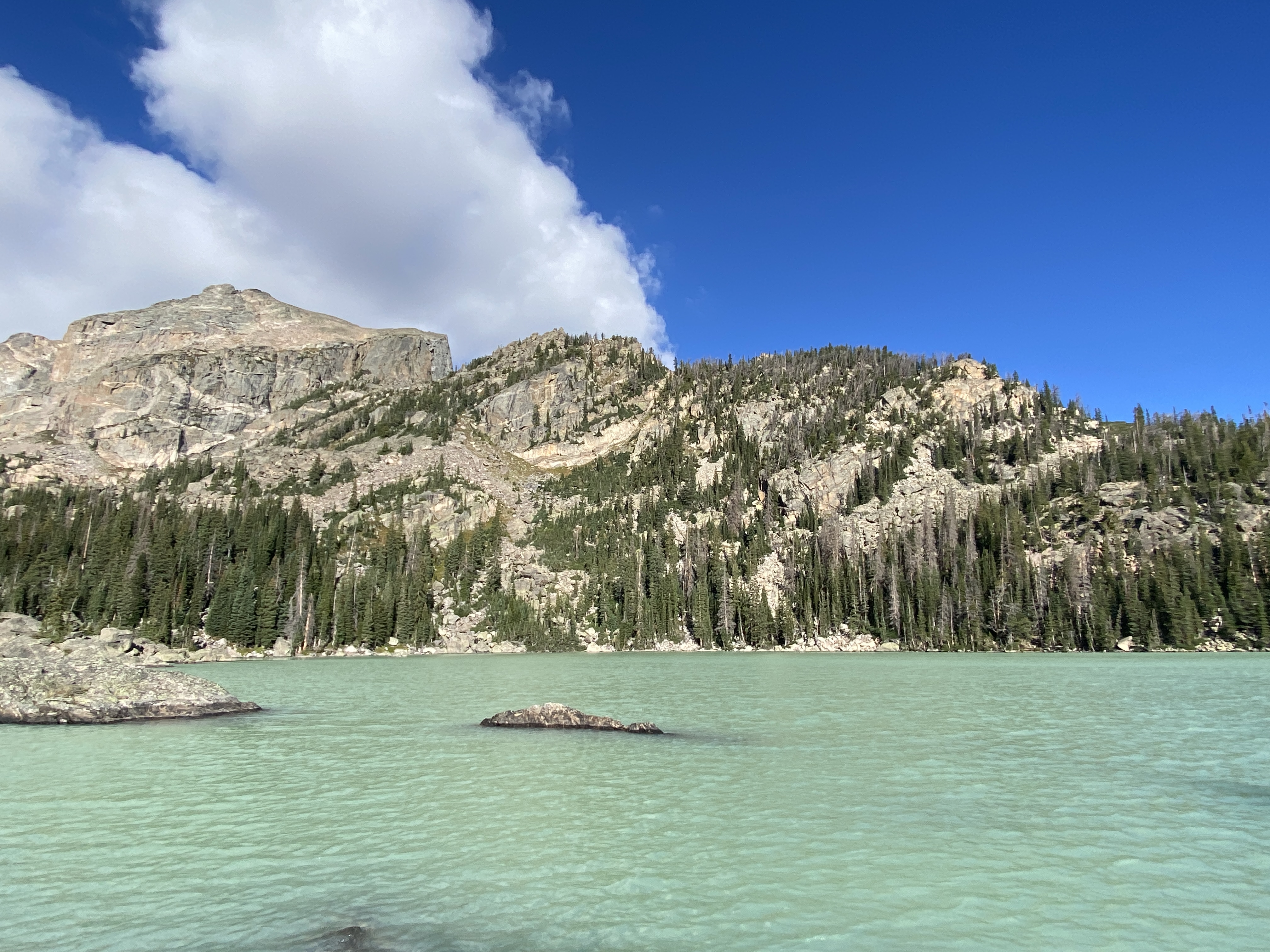 Discover the Beauty of Rocky Mountain National Park