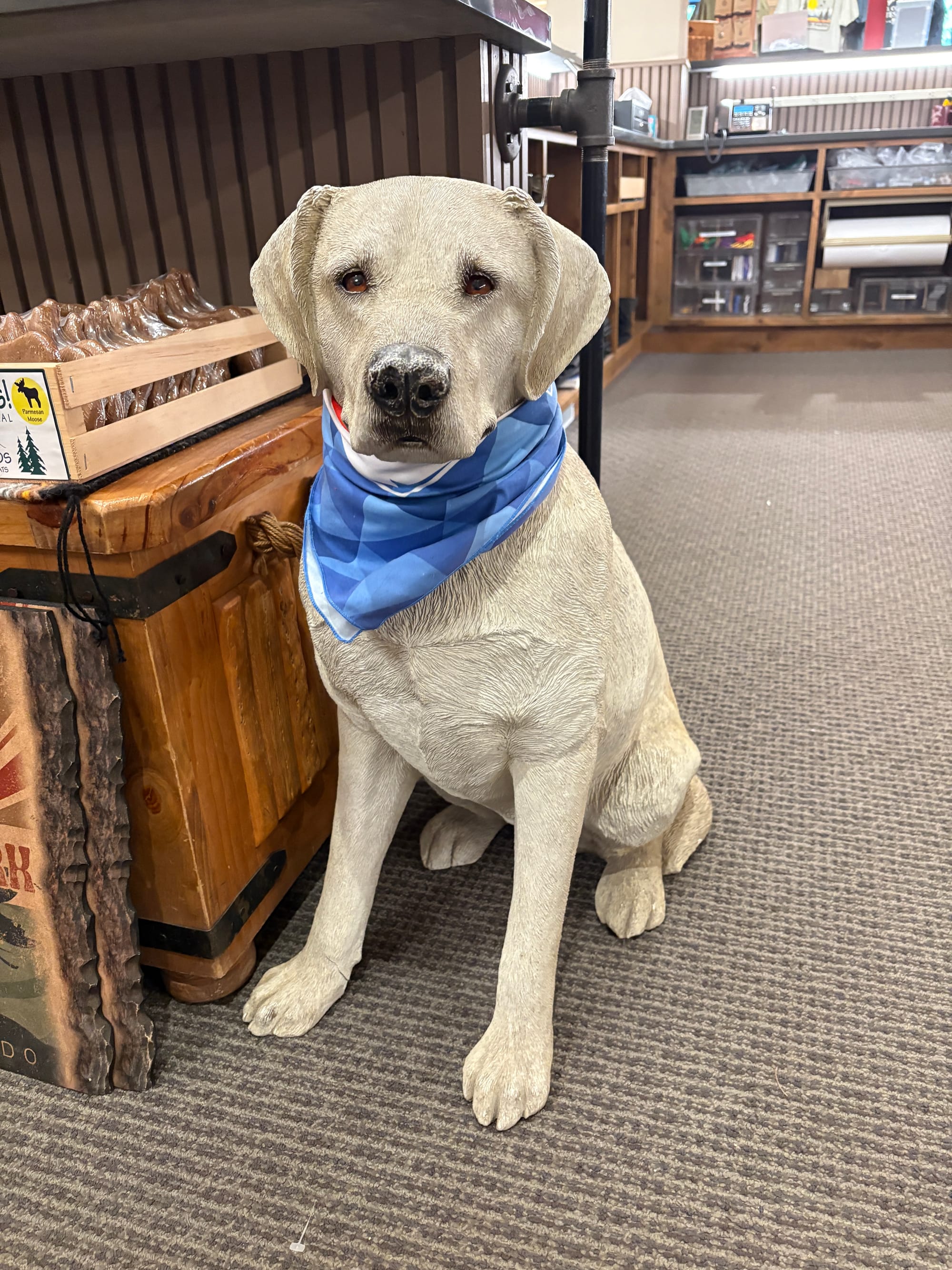 Why We Love Brownfield's in Estes Park, Colorado