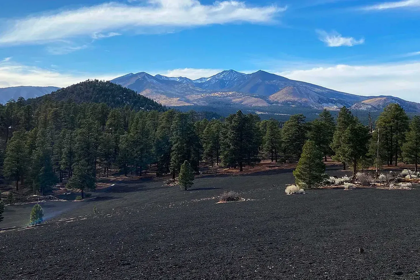 Five Reasons I Love Flagstaff feature image